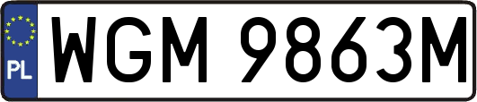 WGM9863M