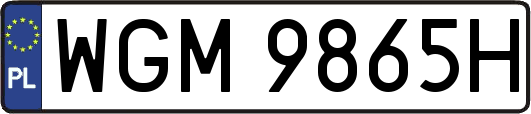 WGM9865H