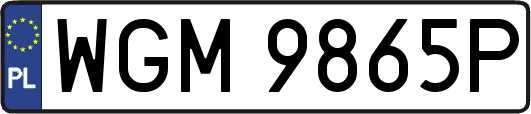 WGM9865P