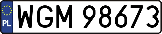 WGM98673