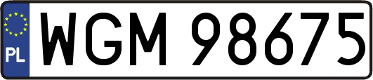 WGM98675