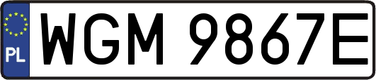 WGM9867E