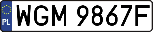 WGM9867F