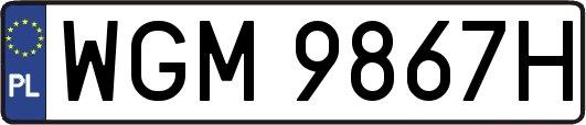 WGM9867H