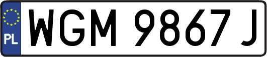 WGM9867J
