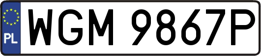 WGM9867P
