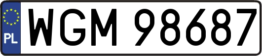 WGM98687