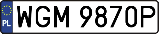 WGM9870P