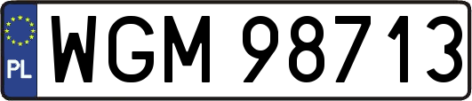 WGM98713
