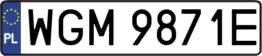 WGM9871E