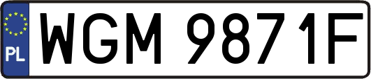 WGM9871F