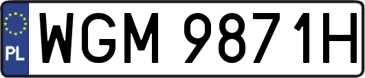 WGM9871H