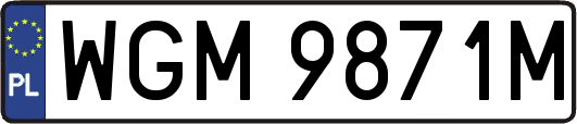 WGM9871M