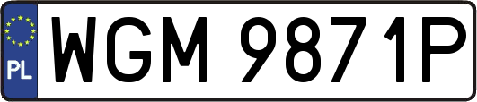 WGM9871P