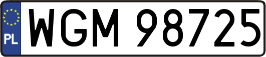 WGM98725