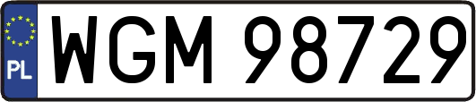 WGM98729