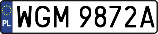WGM9872A