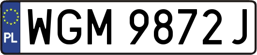 WGM9872J