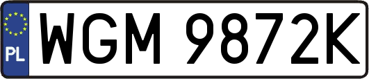 WGM9872K