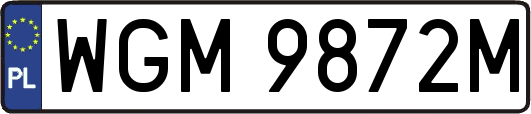 WGM9872M
