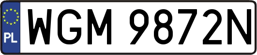 WGM9872N