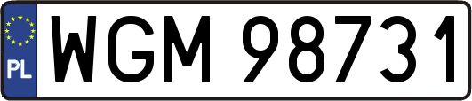 WGM98731