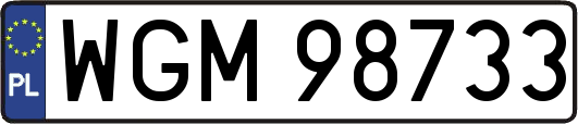 WGM98733