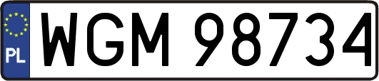 WGM98734