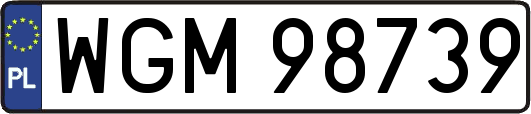 WGM98739