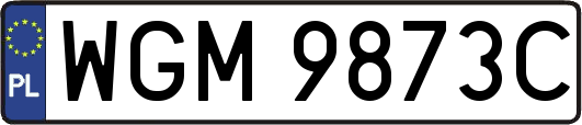 WGM9873C