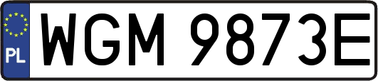 WGM9873E