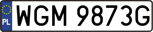 WGM9873G