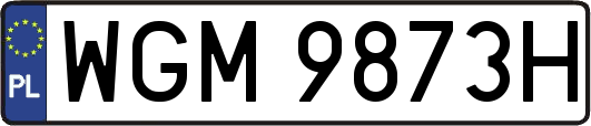 WGM9873H