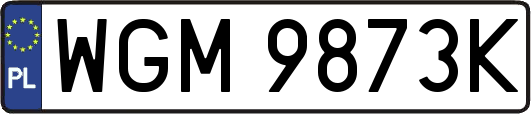 WGM9873K