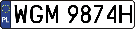 WGM9874H