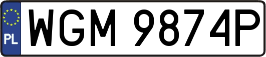 WGM9874P