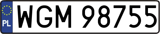 WGM98755