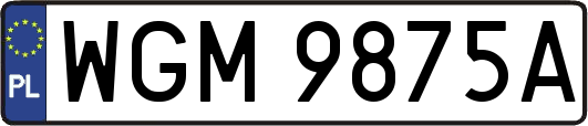 WGM9875A