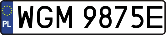 WGM9875E