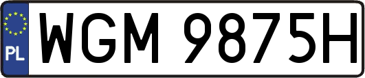 WGM9875H