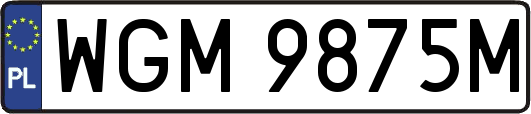 WGM9875M