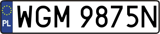 WGM9875N