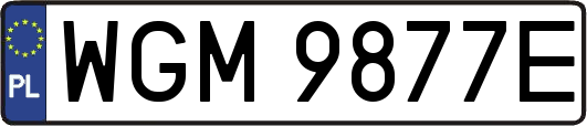 WGM9877E