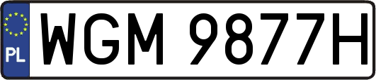 WGM9877H