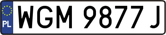 WGM9877J