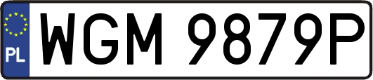 WGM9879P