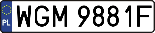WGM9881F