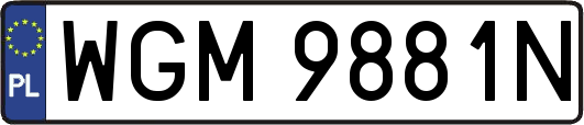 WGM9881N