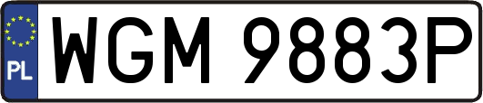 WGM9883P