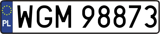 WGM98873